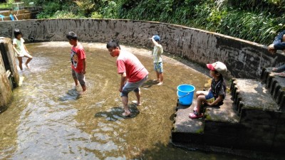 しゃくなげの森です_200810_9