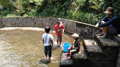 しゃくなげの森です_200810_11