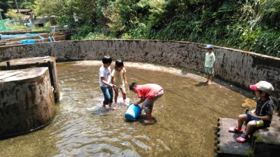 しゃくなげの森です_200810_12