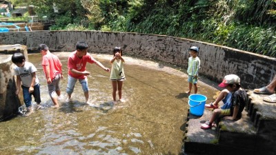 しゃくなげの森です_200810_6