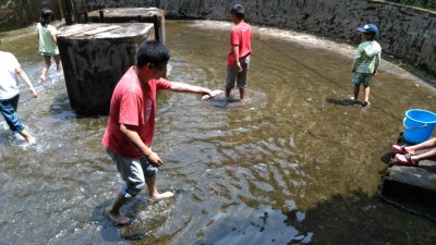 しゃくなげの森です_200810_8