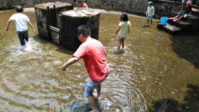 しゃくなげの森です_200810_4